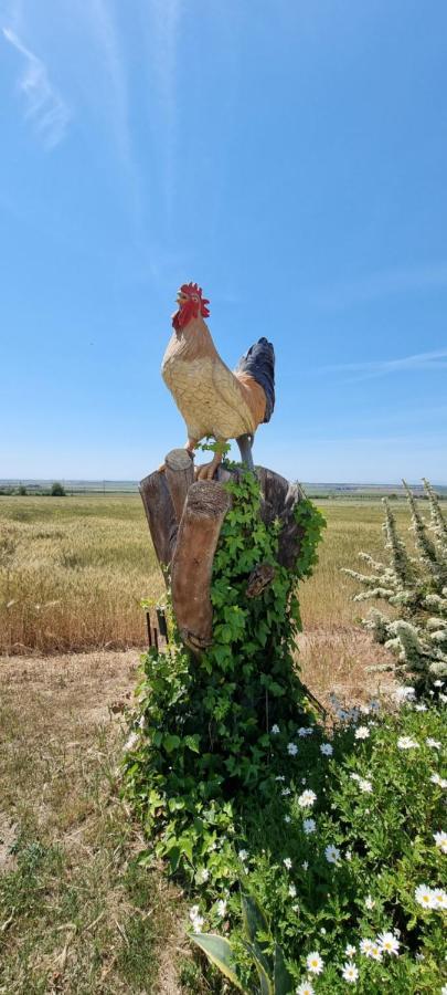 Masseria Milu' Siponto Kültér fotó